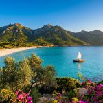 Que faire aux Baléares : le guide ultime pour vos escales Plage immaculée des Baléares avec mer turquoise, montagnes boisées, voilier et fleurs roses au premier plan.