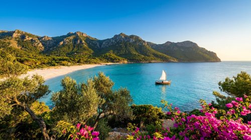 Plage immaculée des Baléares avec mer turquoise, montagnes boisées, voilier et fleurs roses au premier plan.