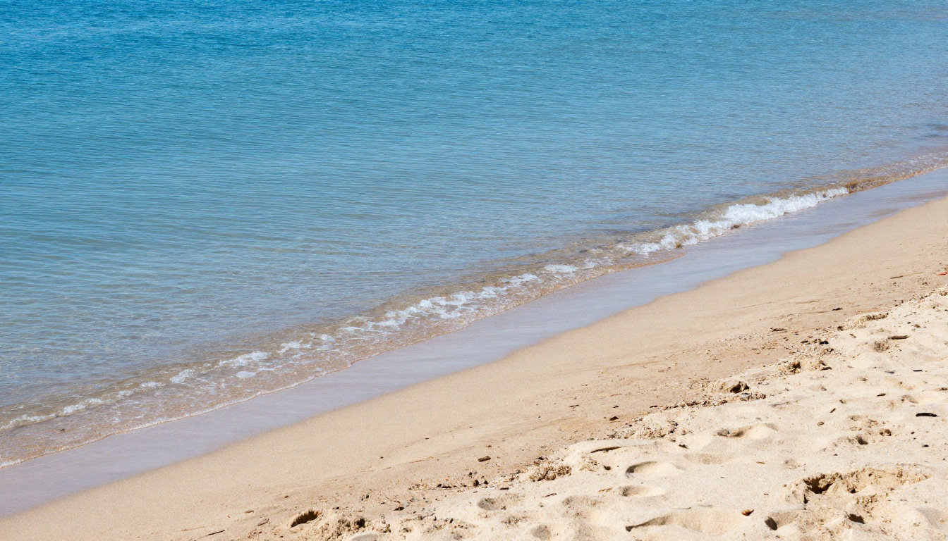 Guide des plages elboises : du sable fin aux criques sauvages