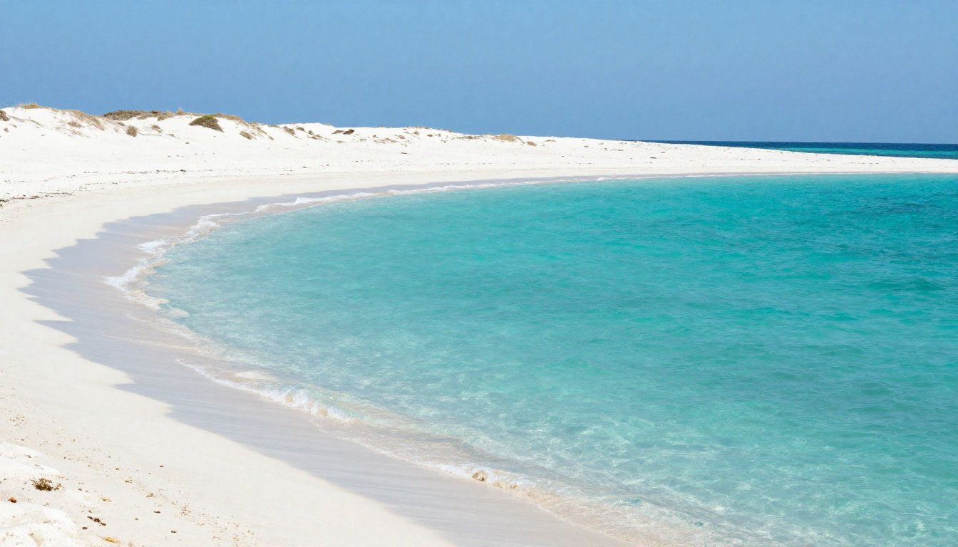 Formentera : eaux cristallines et engagement écologique