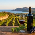 Vins de Corse : appellations et domaines à découvrir Une bouteille et un verre de vin rouge sur une table en bois devant un vignoble corse avec la mer en arrière-plan.